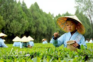 济公高手心水论坛截图1